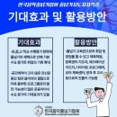 한국생활체육음악줄넘기 이미지