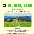 정안농장 | 지리적표시 등록제 확인하고 구매한 늘해랑 해남 꿀고구마 후기~