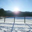 양지-2732 이미지