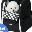 정선가축병원 이미지