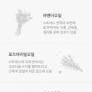 디어루시 네이버블로그