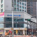 제일문구카페 | 부산 명지 고양이카페 <캣플헤븐 부산명지점> 아이랑 다녀온 솔직 후기