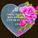 비바리 이미지
