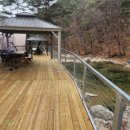 소나무세상 이미지