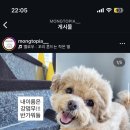 저스트멍토피아 네이버블로그