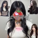 소예 헤어 : 파주 1인 미용실 레이어드 S컬 인생펌 그레이스펌 내돈내산