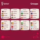 2022 카타르 월드컵 32개국 확정 조 편성 이미지