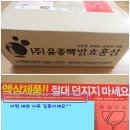 어린이홍삼 추천!! (주)흑설삼 특허받은 자연발효홍삼 흑설삼동!!