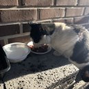 210120 | 210120 정신건강의학과 진료 후기