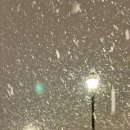 체리네일 이미지