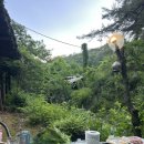 영월산방 | 강원도영월펜션 | 자연친화적 촌캉스 “수월산방펜션” 리뷰