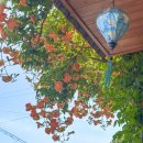 송정해수욕장 3호 이미지