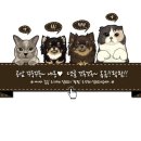 럭셔리하개 이미지