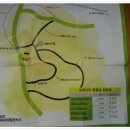 자작나무숲 가는 길 이미지