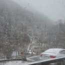 실컨