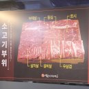 단체 회식 가능한 소고기 무한리필 전문점, 채영진의 명품생고기무한리필 영종점