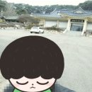 만전당길 네이버블로그