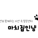 힐링(Healing) PC cafe 네이버블로그