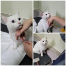 당진시 북문로 이미지