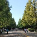 주엽공원 이미지