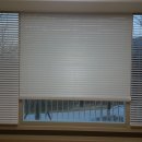 복성고앞 이미지