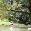 블루라군 이미지