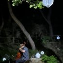 첼로_처음(야간) 이미지