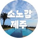 더나무 | 소노캄 제주 수영장, 셰프스키친 조식, 킹더랜드 하트나무 포토존, 슈페리어클린룸 내돈내산 이용후기
