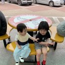 2025 5월 일상 (3)