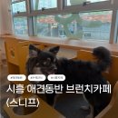 능곡프라자 | 시흥능곡 애견동반 카페 스니프 내돈내산 후기｜브런치·멍푸치노