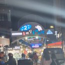 그림상회 스테이 | 3,4월 제주도 서귀포 뚜벅이 여행 코스 추천 | 요가, 올레길 트래킹, 유채꽃 명소, 맛집, 카페