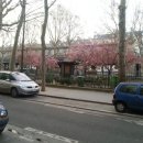 봄날처럼 민박 이미지