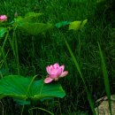 양산호수공원 이미지