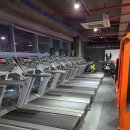 인성 피트니스 이미지