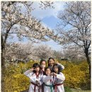 단비태권도장 이미지