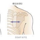 헬스 스타짐 이미지