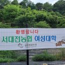 서대전농협 Daum카페
