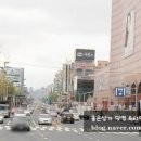 서구애견센타 이미지