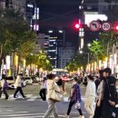 먹자골공인중개사사무소 | 전포·부전·서면 상가 전문 이정미 공인중개사입니다