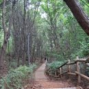 등촌역 8번출구 이미지