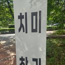 브리또익스프레스 | 계명대 동문 맛집, 멕시칸 푸드의 진수 '부리또익스프레스 계명대점' 치미창가 & 치킨브리또 솔직 후기!