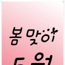 펫디자이너 시나 이미지
