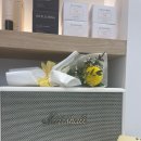 인셀덤 수쟌
