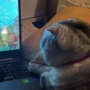 장전서당골 영농조합법인 이미지