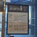 고림로 | 용인 에버랜드 근처 맛집 진심왕돈까스 치즈폭포돈까스 후기 | 처인구 돈까스맛집