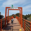 통영장사국밥 이미지