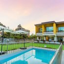 파레사애견풀빌라 | 7월 강아지와 함께 여름휴가 애견동반 후기 좋은 풀빌라 펜션 추천!