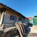 양사초교 이미지