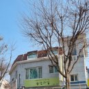 늘찬과일