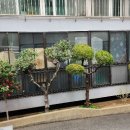 봉황맨션 이미지